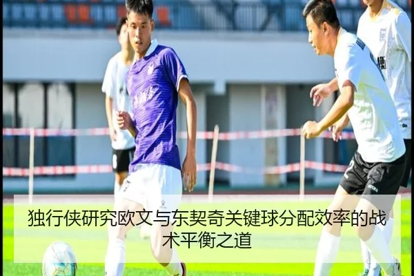 du-xing-xia-yan-jiu-ou-wen-yu-dong-qi-qi-guan-jian-qiu-fen-pei-xiao-lv-de-zhan-shu-ping-heng-zhi-dao-2-288.jpg