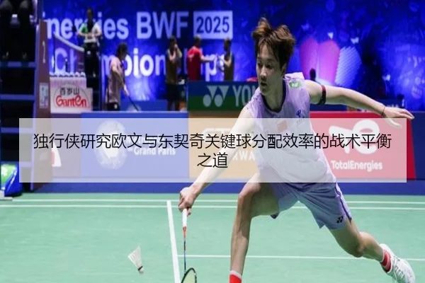 du-xing-xia-yan-jiu-ou-wen-yu-dong-qi-qi-guan-jian-qiu-fen-pei-xiao-lv-de-zhan-shu-ping-heng-zhi-dao-3-990.jpg