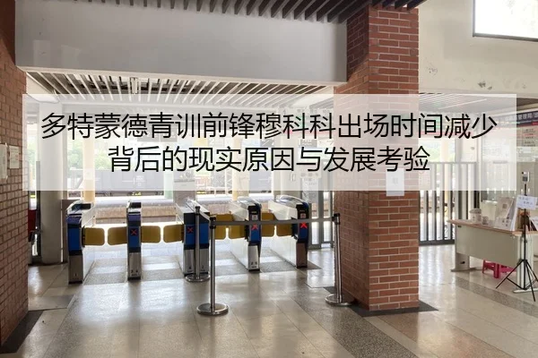 多特蒙德青训前锋穆科科出场时间减少背后的现实原因与发展考验
